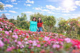 Tin mới nhất về thời tiết Hà Tĩnh dịp Tết