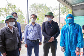 Cấp bách phòng, chống dịch cúm gia cầm ở Hà Tĩnh