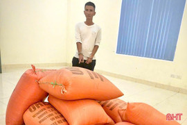 Đột nhập nhà dân trộm hơn 400kg lúa
