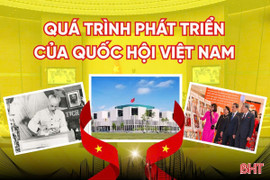 [Motion Graphics] Quá trình phát triển của Quốc hội Việt Nam 