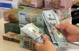 Tỷ giá USD hôm nay 19/3/2025: Đồng USD tăng so với Euro 