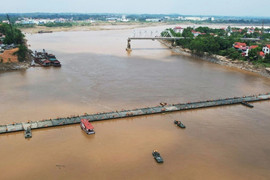 Cầu phao Phong Châu bắt đầu hoạt động