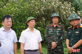 Chủ tịch UBND tỉnh Phan Thiên Định chỉ đạo chữa cháy rừng tại xã Trường Lưu