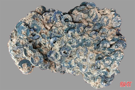 Phát hiện lượng lớn tiền cổ ở xã miền núi Hà Tĩnh