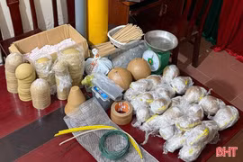 Chế tạo “pháo dừa”, nam sinh bị khởi tố