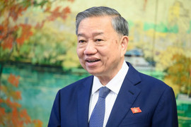 "Có chính sách đặc biệt thu hút ít nhất 100 chuyên gia hàng đầu về nước"