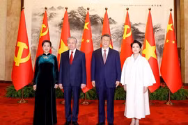 Tổng Bí thư, Chủ tịch nước Tô Lâm hội đàm với Tổng Bí thư, Chủ tịch nước Trung Quốc Tập Cận Bình