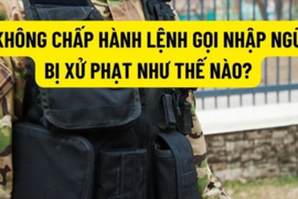 Không chấp hành lệnh gọi nhập ngũ, bị xử phạt 62,5 triệu đồng