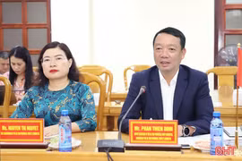 Hà Tĩnh thúc đẩy hợp tác đầu tư với các đối tác Áo và khu vực Trung - Đông Âu