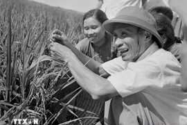 Thủ tướng Phạm Văn Đồng: Nhà lãnh đạo đặt nền móng cho sự nghiệp đổi mới