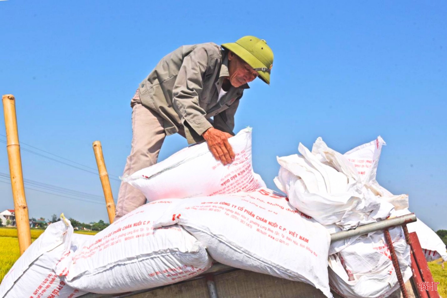  bqbht_br_emag-ntm-chinh-mau-anh-12.png