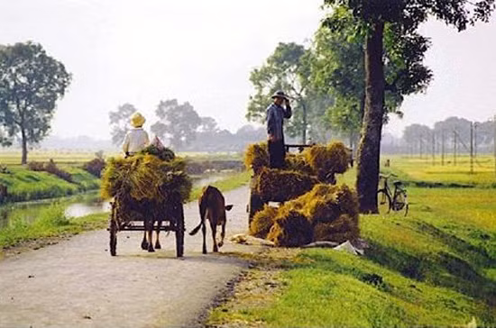 Yêu lắm thu quê! ảnh 1