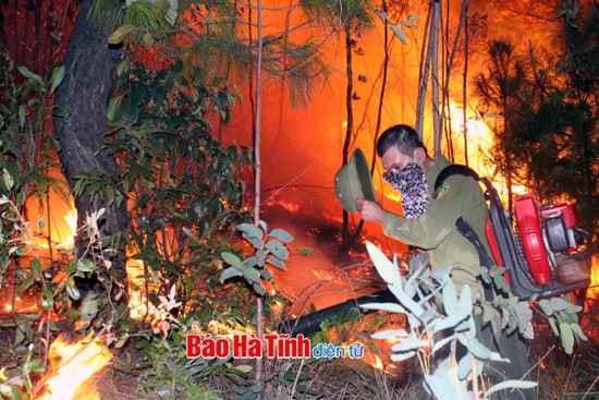 Cháy rừng thông, hàng trăm người dập lửa trong đêm ảnh 2