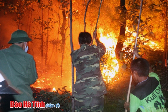 Cháy rừng thông, hàng trăm người dập lửa trong đêm ảnh 3