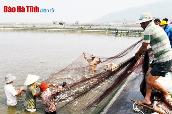 Trang bị kiến thức về chuyển đổi, giải thể HTX theo Luật HTX ảnh 2