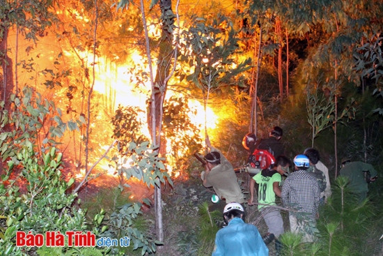 Cháy rừng thông, hàng trăm người dập lửa trong đêm ảnh 1