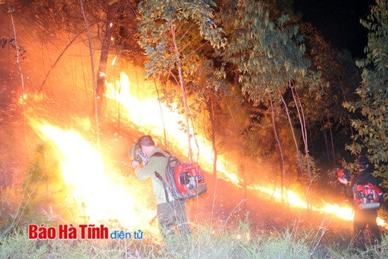 Cháy rừng thông, hàng trăm người dập lửa trong đêm ảnh 5