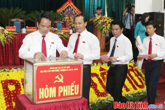 Ông Nguyễn Đình Hải giữ chức Bí thư Đảng bộ thị xã Kỳ Anh ảnh 3