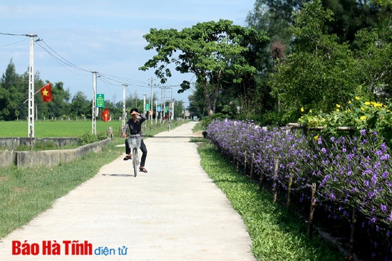 Cẩm Bình hỗ trợ 250 triệu đồng xây dựng 50 vườn mẫu ảnh 2