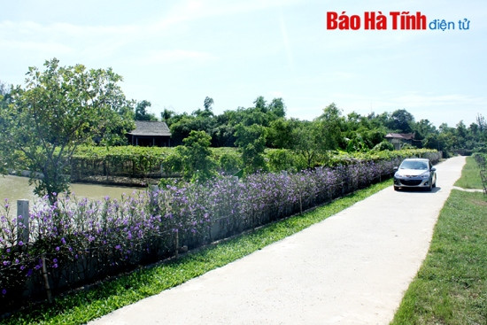 Đường sá được bê tông hóa, hàng rào được trồng bằng hoa tươi rực rõ