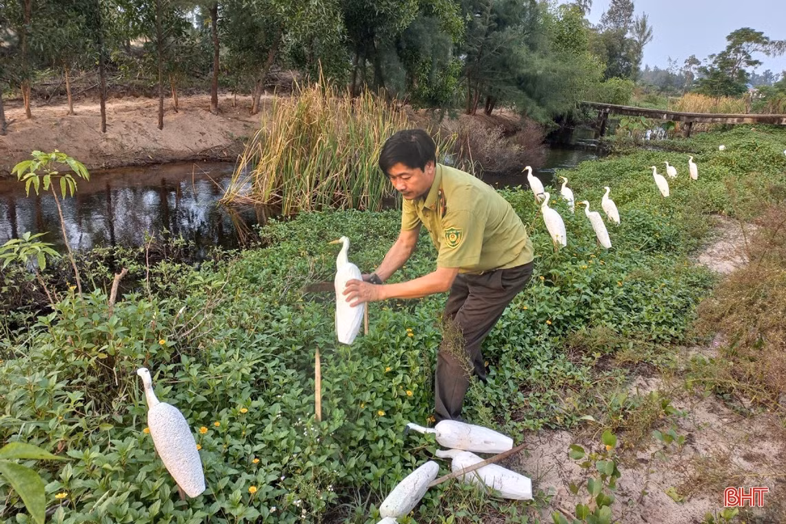 Ngăn chặn vấn nạn săn bắt “chim trời”: Cần đồng bộ và quyết liệt hơn nữa!