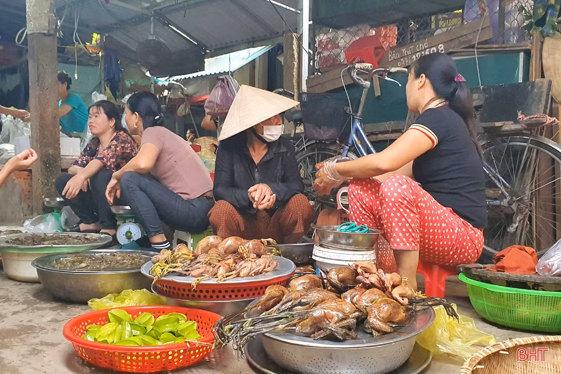 Ngăn chặn vấn nạn săn bắt “chim trời”: Cần đồng bộ và quyết liệt hơn nữa!