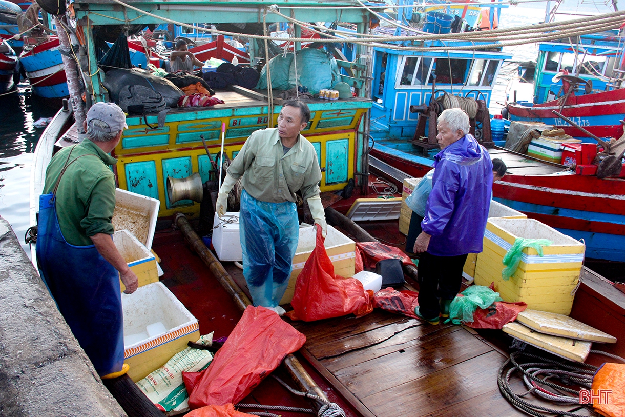 Một mùa xuân tươi tràn ánh sáng khắp nơi nơi”