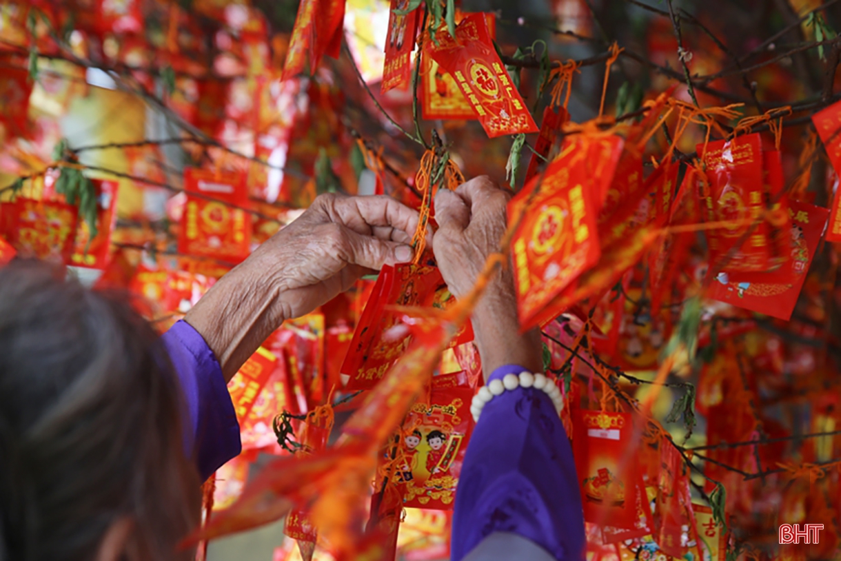 Một mùa xuân tươi tràn ánh sáng khắp nơi nơi”