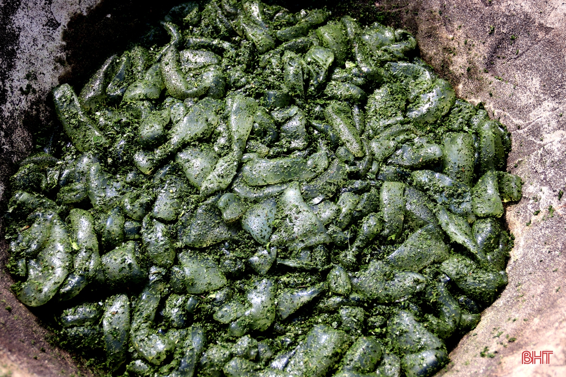 Đánh bắt, chế biến sứa biển, có ngày ngư dân Hà Tĩnh được gần chỉ rưỡi vàng