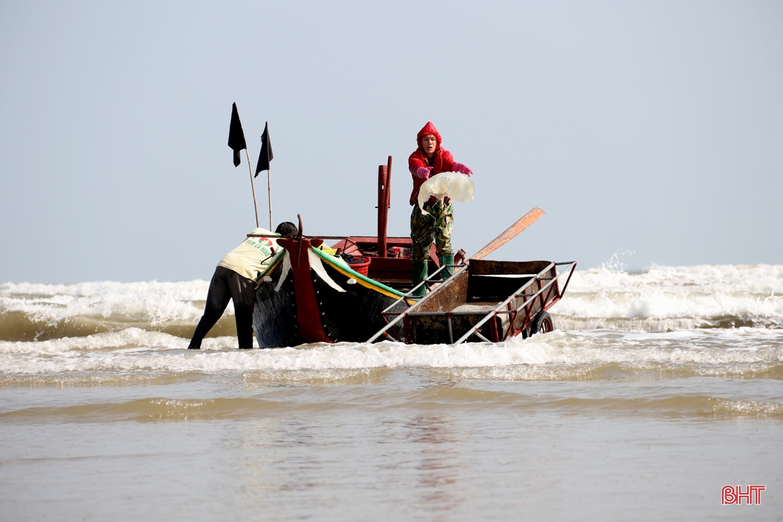 Đánh bắt, chế biến sứa biển, có ngày ngư dân Hà Tĩnh được gần chỉ rưỡi vàng