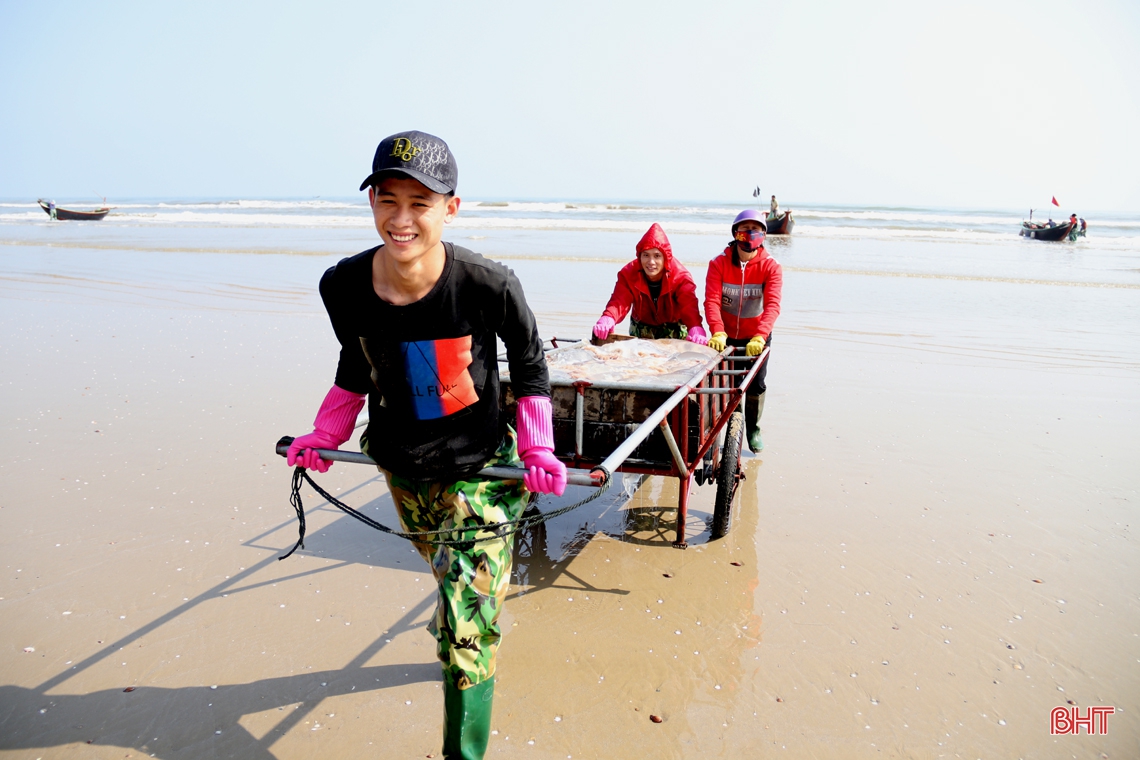 Đánh bắt, chế biến sứa biển, có ngày ngư dân Hà Tĩnh được gần chỉ rưỡi vàng