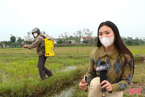 Thuốc cỏ cháy - đốt cháy hệ sinh thái đồng ruộng