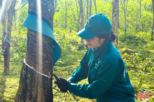 Nhọc nhằn nghề đi tìm "vàng trắng" 