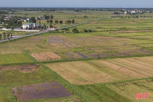 Vì sao nhiều diện tích đất nông nghiệp bị bỏ hoang?