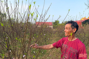 Vì sao nhiều người thích "đào ta" Toàn Lưu?