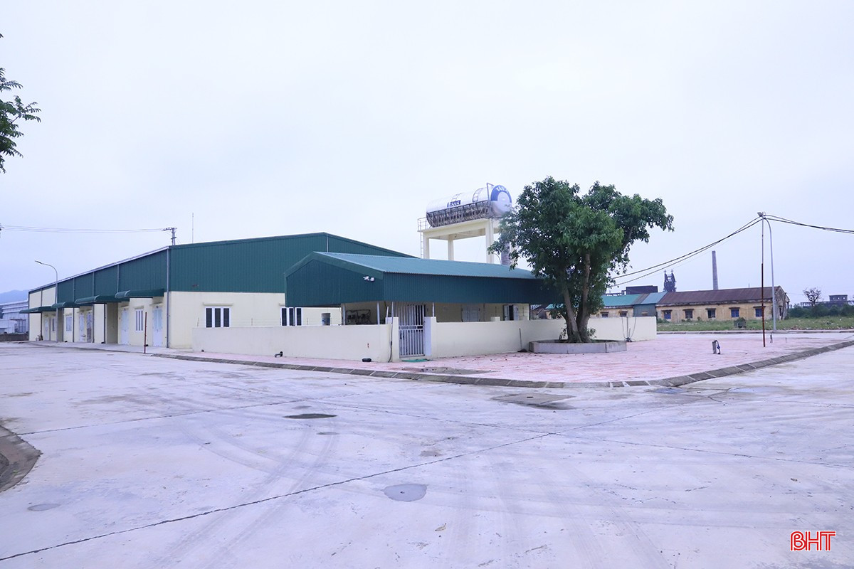 Với tầm nhìn trở thành một doanh nghiệp hàng đầu trong ngành xuất nhập khẩu và chế biến thủy hải sản, tham gia vào chuỗi cung ứng toàn cầu, đầu năm 2025, công ty đã triển khai kế hoạch tái cấu trúc sản xuất kinh doanh bằng việc đầu tư xây dựng lại toàn bộ hệ thống cơ sở vật chất, trang thiết bị máy móc trên diện tích 3,7ha.