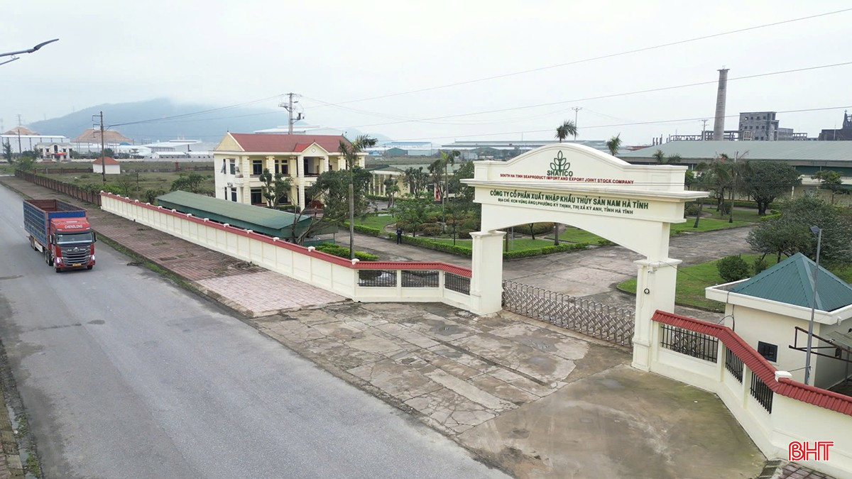 Công ty CP Xuất nhập khẩu thủy sản Nam Hà Tĩnh đóng tại Khu kinh tế Vũng Áng (phường Vũng Áng, Hà Tĩnh). Thành lập từ năm 1993 với thương hiệu Shatico, công ty là một trong những đơn vị hàng đầu trong lĩnh vực xuất nhập khẩu và chế biến thủy hải sản ở Việt Nam.