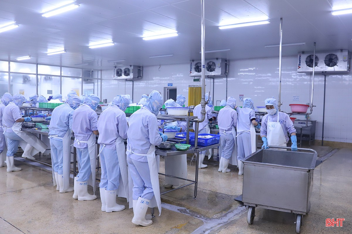 Công ty hiện có hơn 120 công nhân làm việc tại các bộ phận với hàng chục năm kinh nghiệm, tay nghề cao, được đào tạo bài bản về chuyên môn và rèn luyện nghiêm túc về tác phong, kỷ luật lao động.