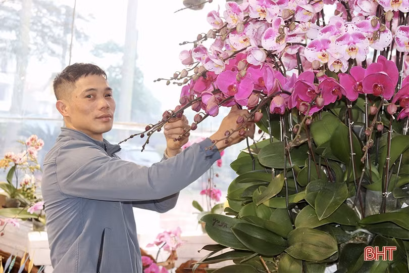 Lao động thời vụ thu nhập khá dịp cận tết