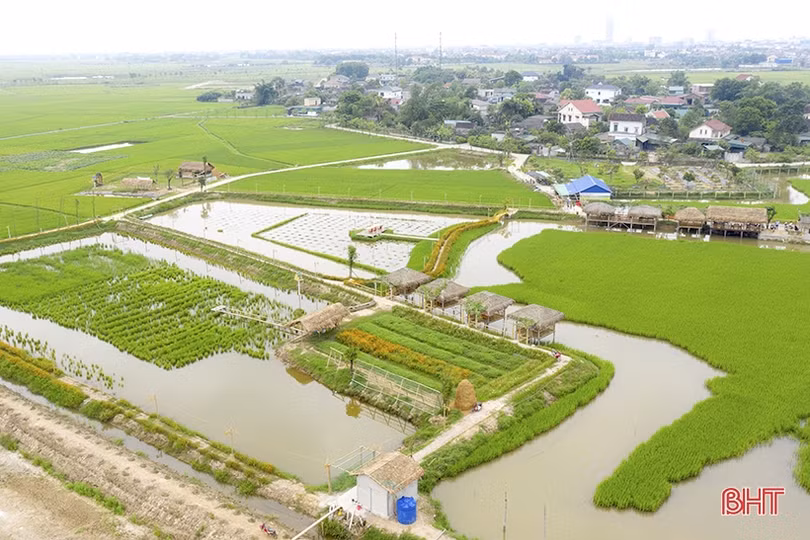 Nông nghiệp Hà Tĩnh trên hành trình tăng trưởng xanh