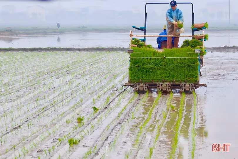 Nông nghiệp Hà Tĩnh trên hành trình tăng trưởng xanh