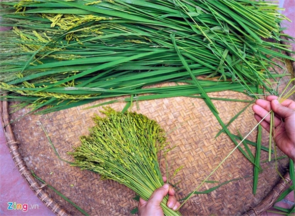 Những con đường tuyệt đẹp như bài hát ‘Nhớ mùa thu Hà Nội ảnh 8