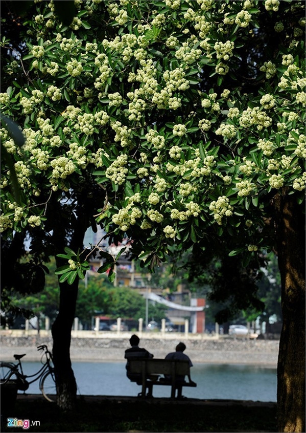 Những con đường tuyệt đẹp như bài hát ‘Nhớ mùa thu Hà Nội ảnh 6