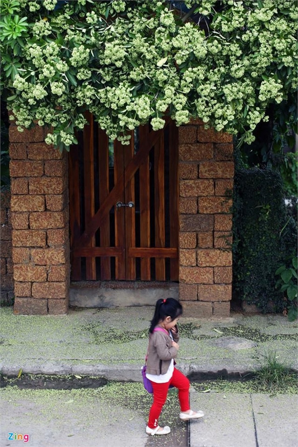 Những con đường tuyệt đẹp như bài hát ‘Nhớ mùa thu Hà Nội ảnh 5