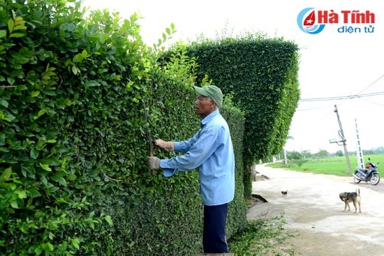 Quê hương Tùng Ảnh hôm nay ảnh 2 Quê hương Tùng Ảnh hôm nay ảnh 2