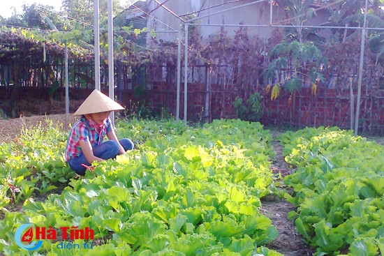 “Điểm tựa” xây dựng nông thôn mới ở Cẩm Thành ảnh 2