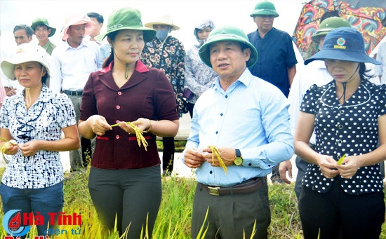 “Điểm tựa” xây dựng nông thôn mới ở Cẩm Thành ảnh 1