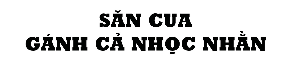 Săn cua biển trong rừng ngập mặn ở Hà Tĩnh