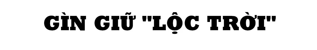 Săn cua biển trong rừng ngập mặn ở Hà Tĩnh