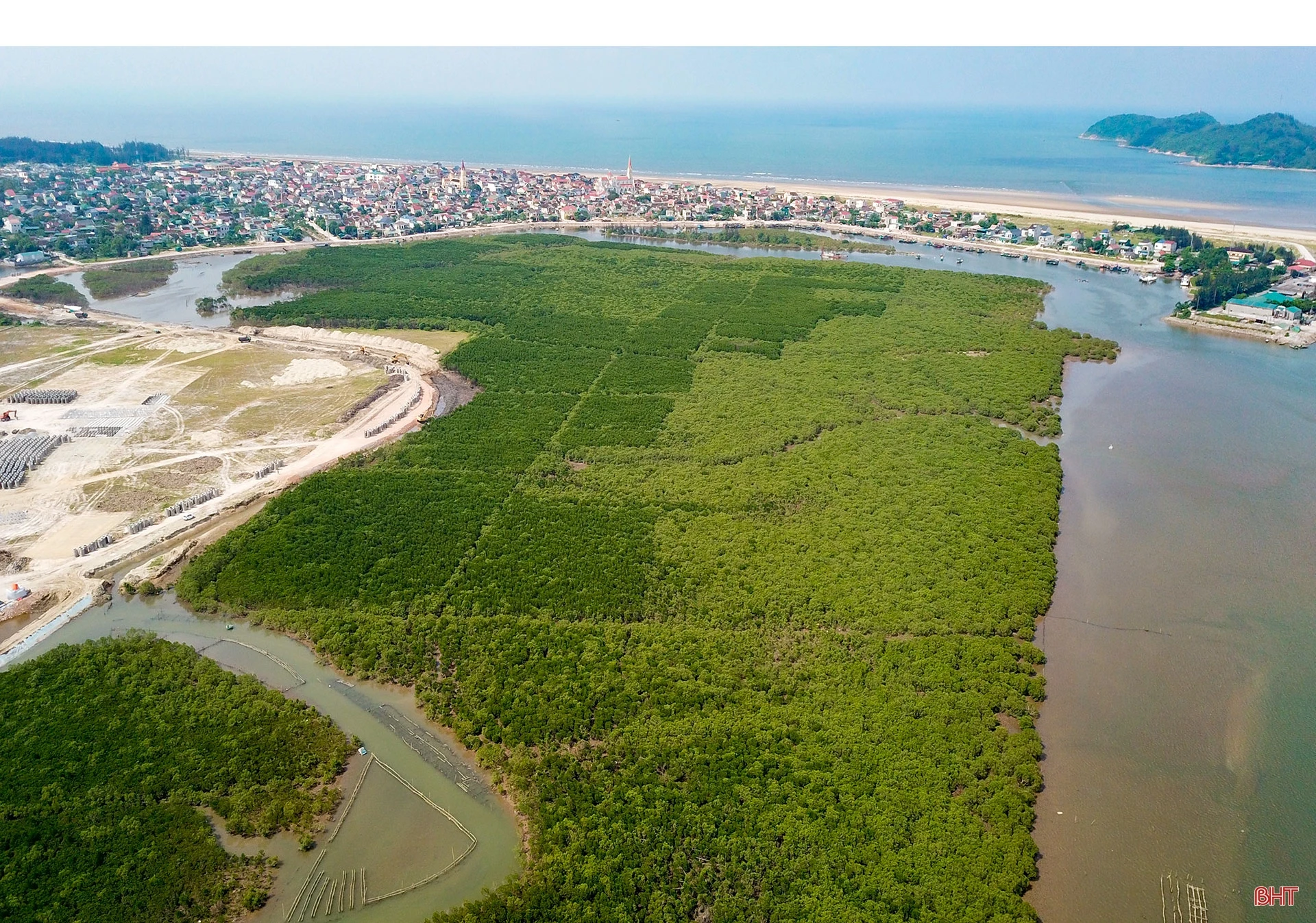 Săn cua biển trong rừng ngập mặn ở Hà Tĩnh